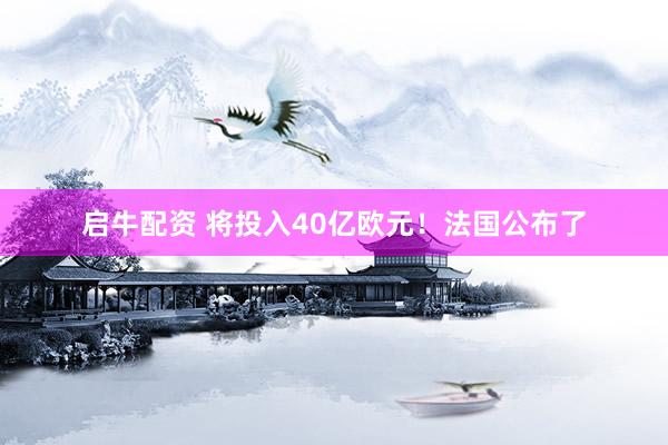 启牛配资 将投入40亿欧元！法国公布了