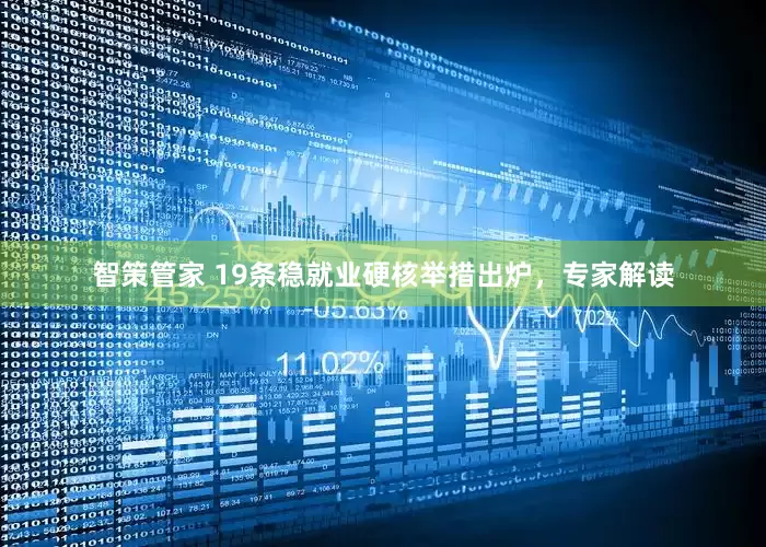 智策管家 19条稳就业硬核举措出炉，专家解读
