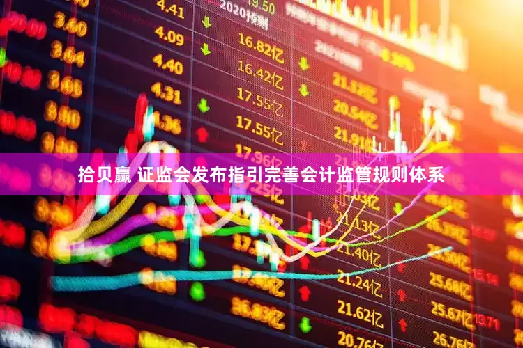 拾贝赢 证监会发布指引完善会计监管规则体系