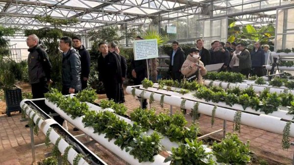 嘉正网 从凭经验到靠科技！青岛年产优质蔬菜种苗逾4亿株